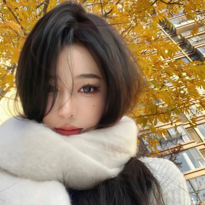 高卢英雄：中国大战罗马帝国